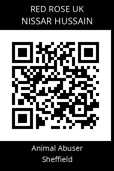 QR code for nissar-hussain