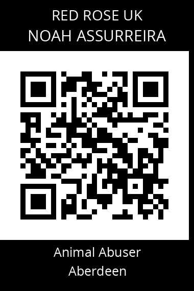 QR code for noah-assurreira