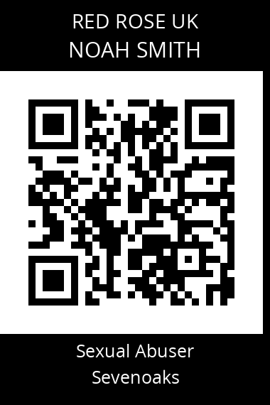 QR code for noah-smith-sneobo