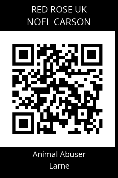 QR code for noel-carson