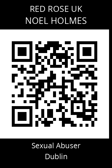 QR code for noel-holmes