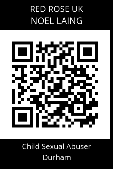 QR code for noel-laing