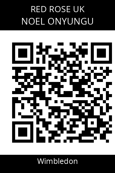 QR code for noel-onyungu-2qdbua