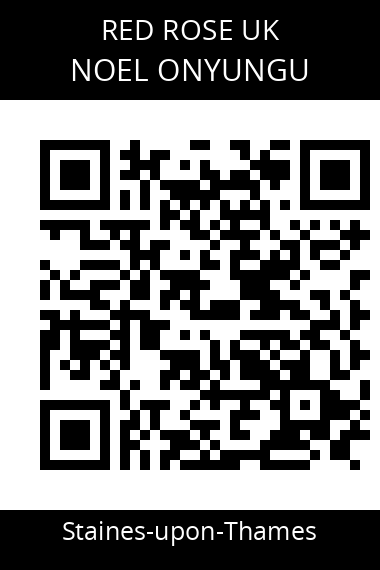 QR code for noel-onyungu-zov6rd