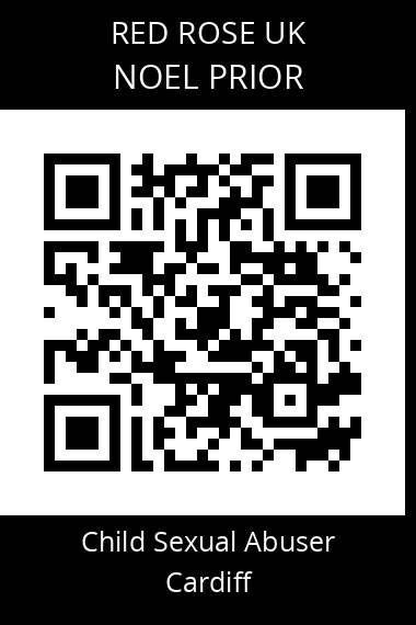 QR code for noel-prior