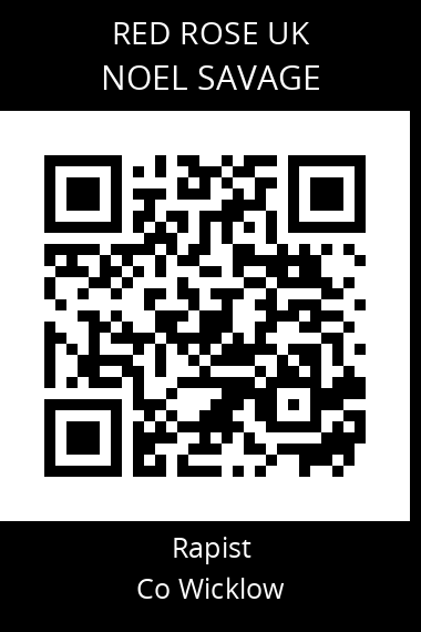 QR code for noel-savage