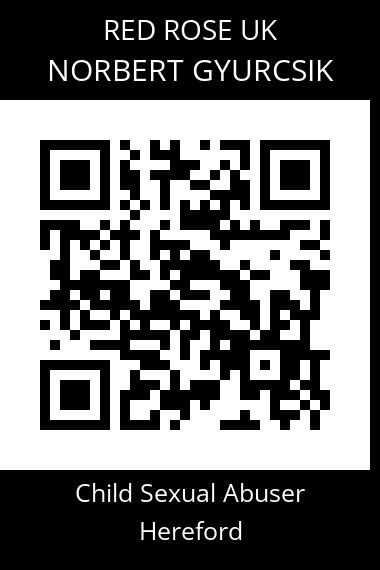 QR code for norbert-gyurcsik