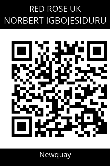 QR code for norbert-igbojesiduru