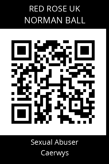 QR code for norman-ball