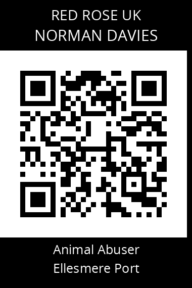 QR code for norman-davies