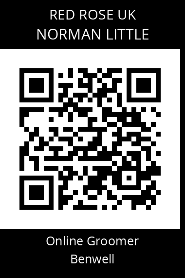 QR code for norman-little