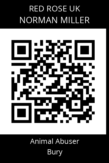 QR code for norman-miller