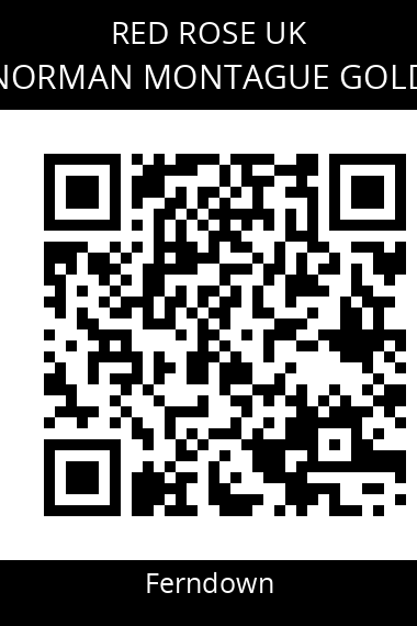 QR code for norman-montague-gold