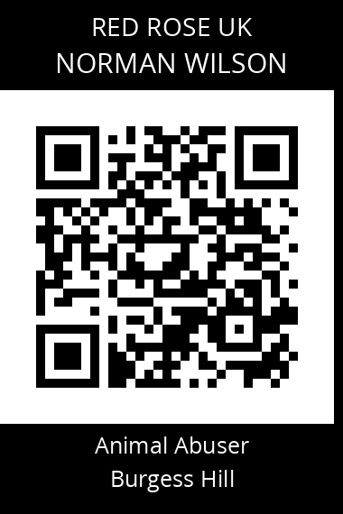 QR code for norman-wilson