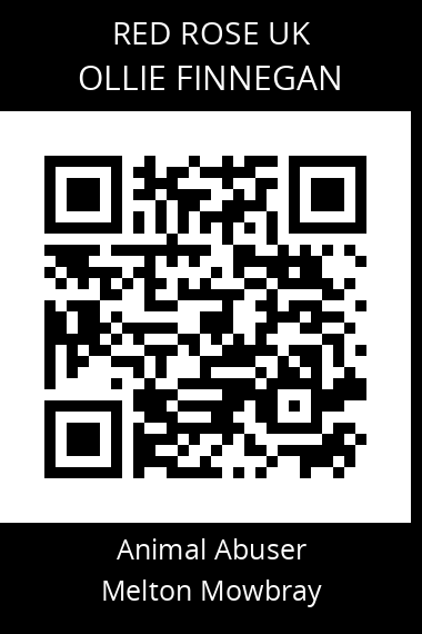 QR code for ollie-finnegan
