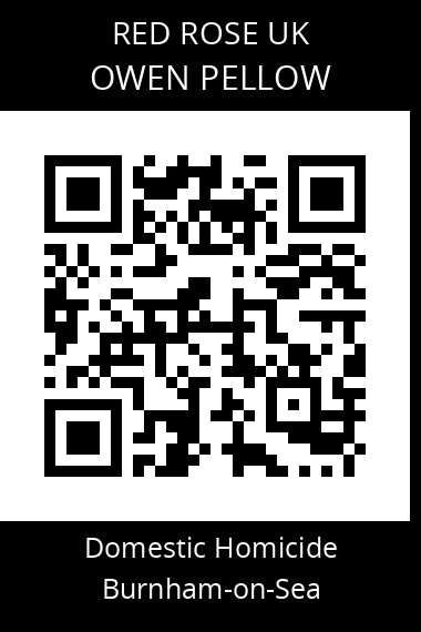 QR code for owen-pellow