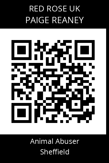 QR code for paige-reaney