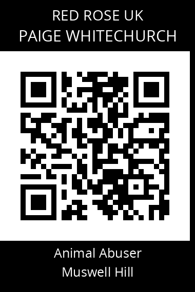 QR code for paige-whitechurch