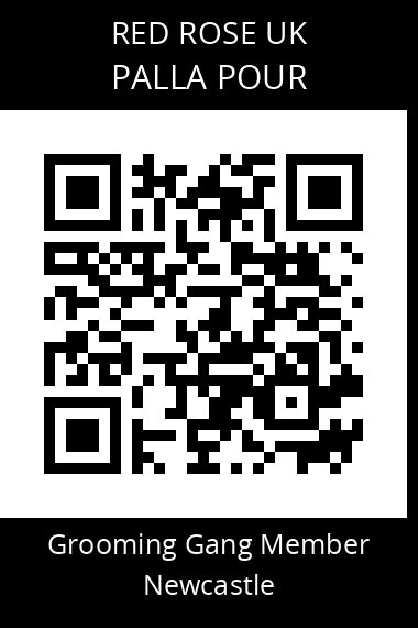 QR code for palla-pour