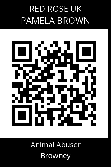 QR code for pamela-brown