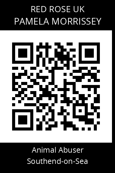 QR code for pamela-morrissey