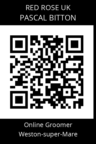 QR code for pascal-bitton