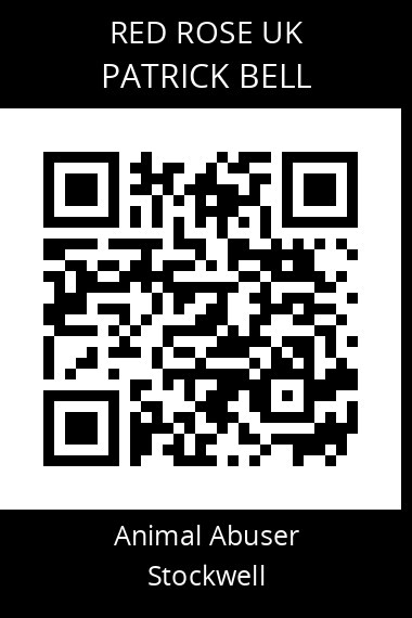 QR code for patrick-bell