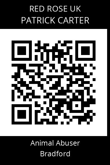QR code for patrick-carter