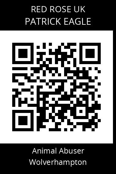 QR code for patrick-eagle