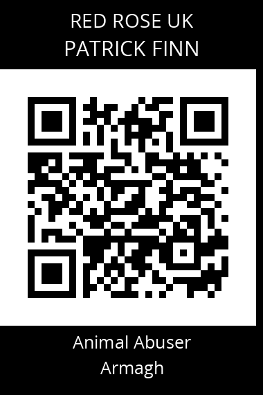 QR code for patrick-finn