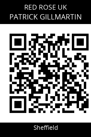 QR code for patrick-gillmartin-zrhein