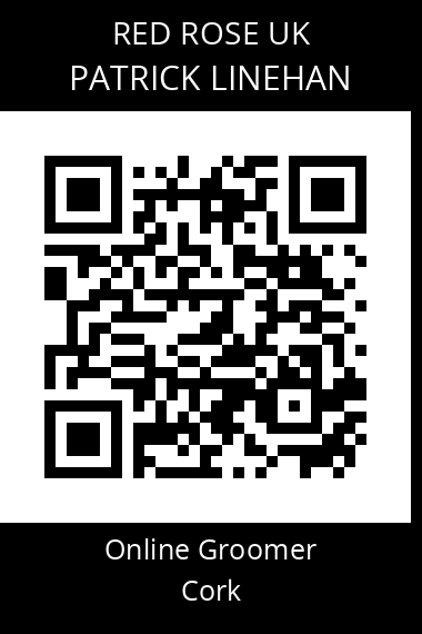 QR code for patrick-linehan