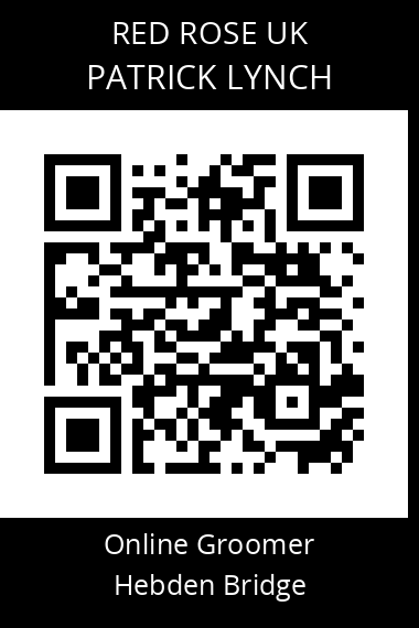 QR code for patrick-lynch-1