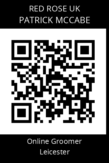 QR code for patrick-mccabe-2