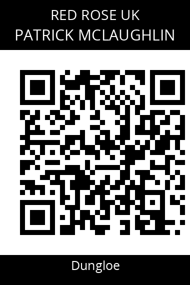 QR code for patrick-mclaughlin-1