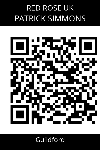 QR code for patrick-simmons-8lkbot