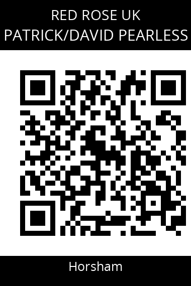 QR code for patrickdavid-pearless