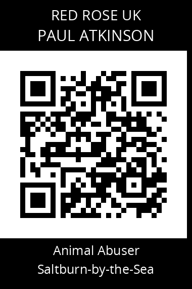 QR code for paul-atkinson-2