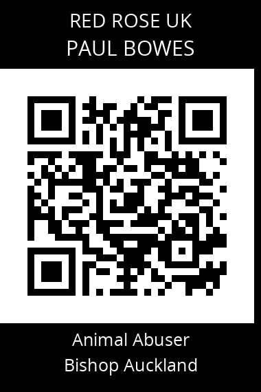 QR code for paul-bowes
