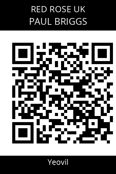 QR code for paul-briggs-hgadpc