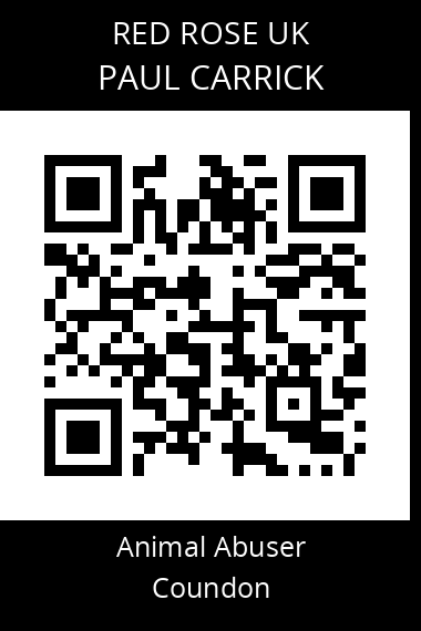 QR code for paul-carrick-1