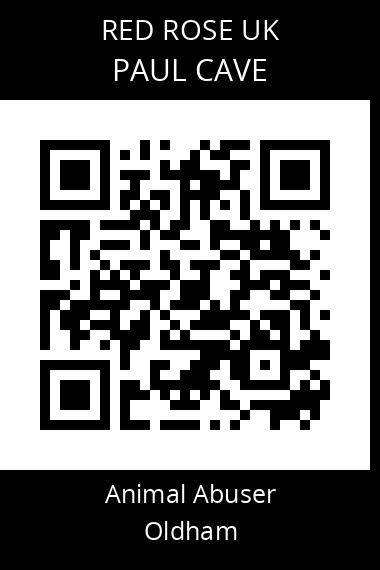 QR code for paul-cave