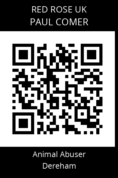 QR code for paul-comer