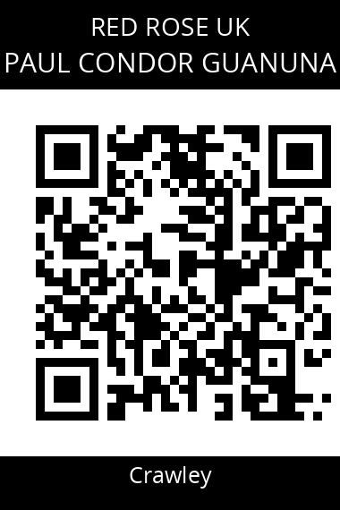 QR code for paul-condor-guanuna-vduvlv
