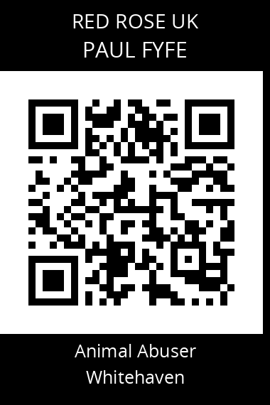 QR code for paul-fyfe