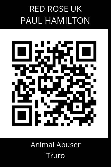 QR code for paul-hamilton