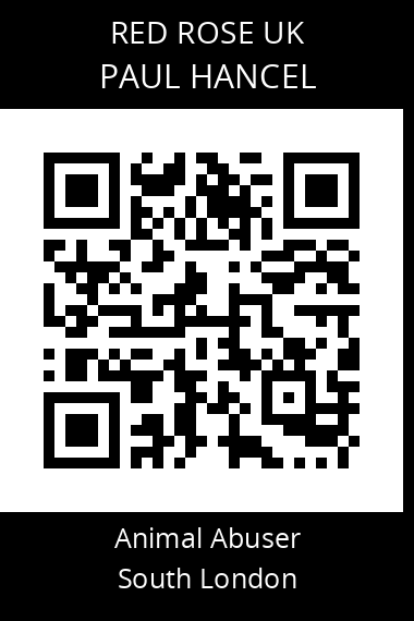 QR code for paul-hancel