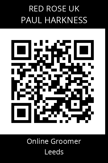 QR code for paul-harkness