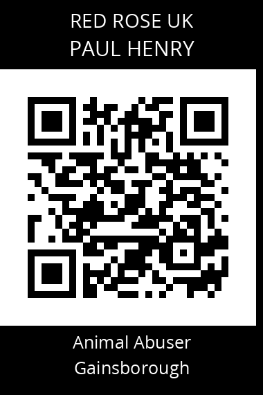 QR code for paul-henry-1