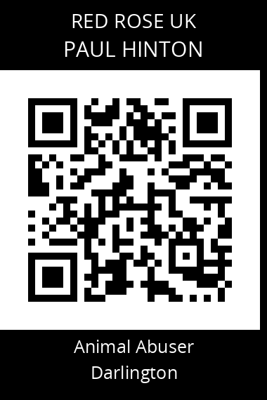 QR code for paul-hinton